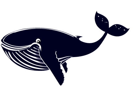 safari-baleine
