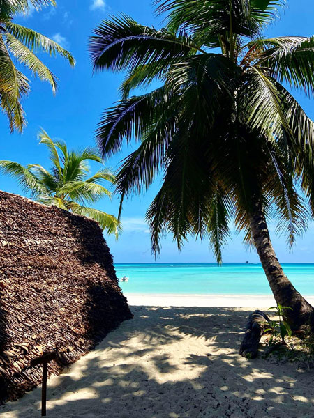 bivouac en petit bungalow sur la plage