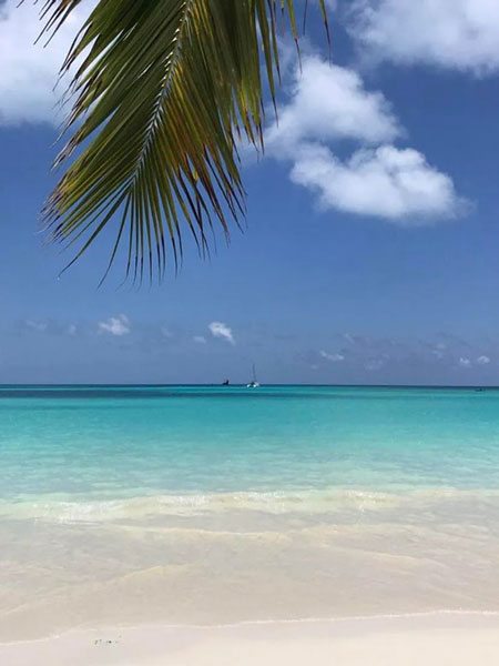 plage sur laquelle se tient le bivouac